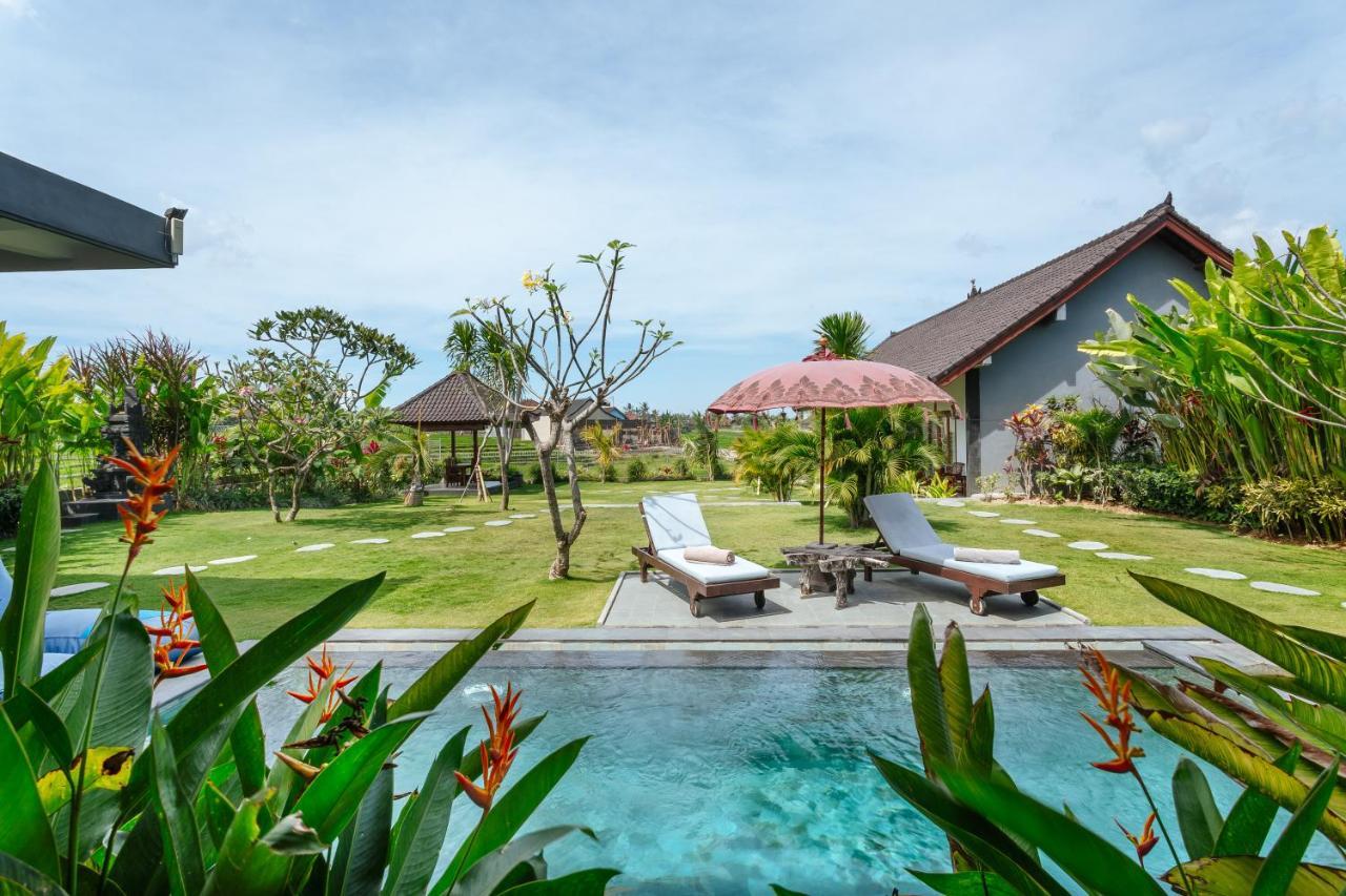 Carik Bali Guest House Canggu Extérieur photo